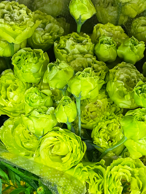 9月19日の誕生花と花言葉 Djアーコレード の癒しボイスに笑いのツボ下さい Radiotalk ラジオトーク