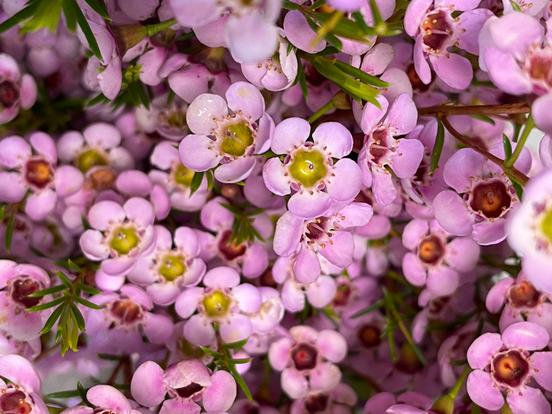 アーコレード の癒しボイスに笑いのツボ下さい Radiotalk ラジオトーク