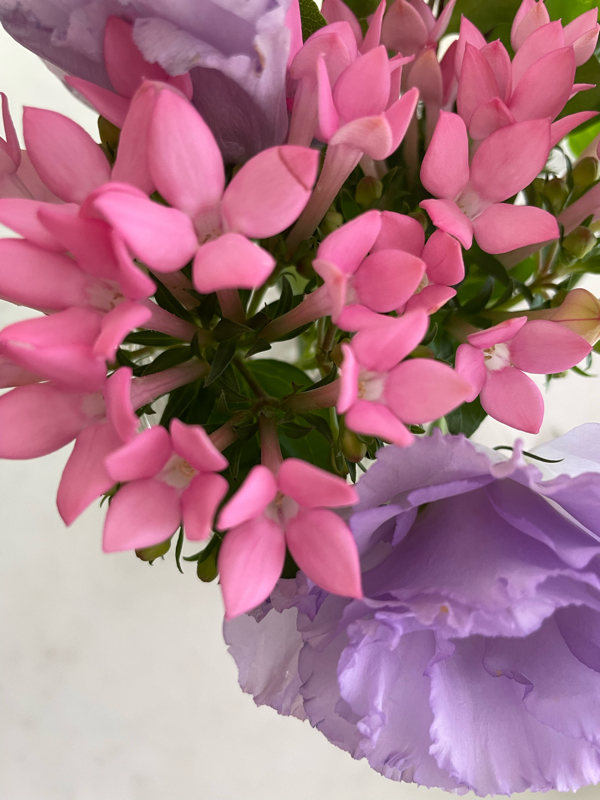 3月14日の誕生花と花言葉 喘息で明日から不定期になるかも アーコレードの脳内ボイスで癒す番組 Radiotalk ラジオトーク