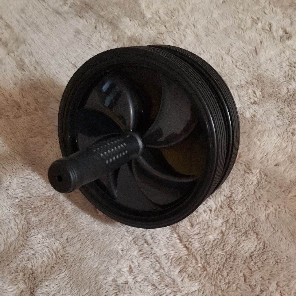 腹筋ローラーをスタンティングの状態でやったら、腰を痛めました。