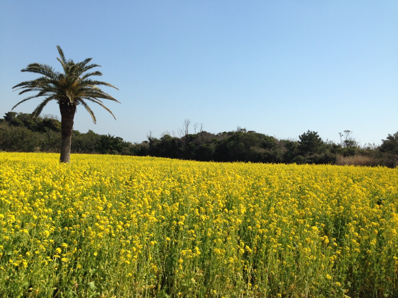 4.今更ひとりぼっち惑星やって破壊神になった話