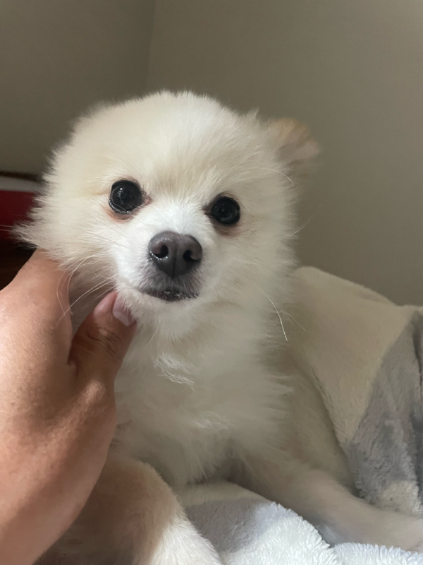 #509ドッキリ(齋藤潤樹)