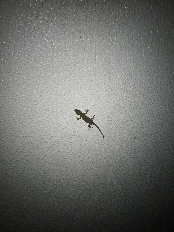 ラーメン屋にいたおっさんの話