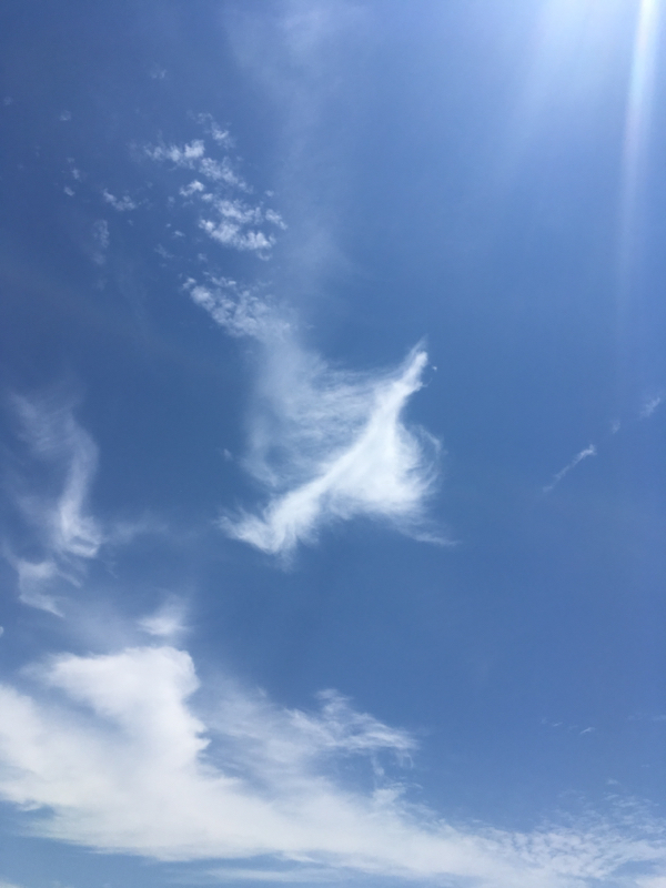 ここちよい絵本やエッセイのよみきかせ.。○ たまに スピリチュアルな はなし◎