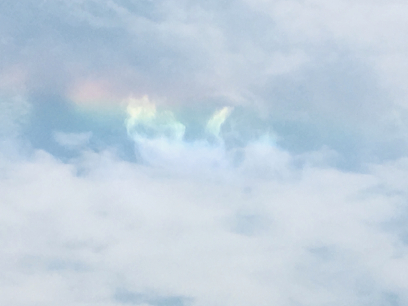 Banana Diary 力をくれるもの