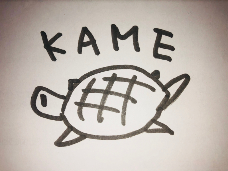 ハム子のカメ日記