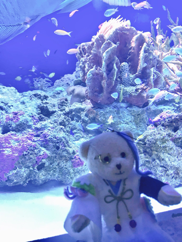 ミドリノヒトリゴト