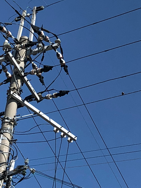 #2 文庫本についてる解説を読むべきか悩む