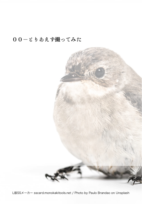 00-取り敢えず撮ってみた