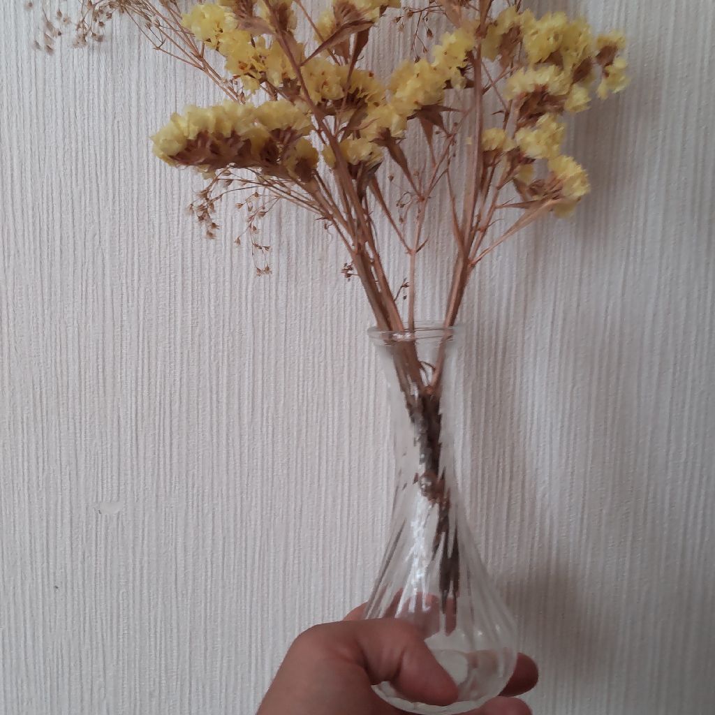 #8 ドライフラワー弾き語り練習