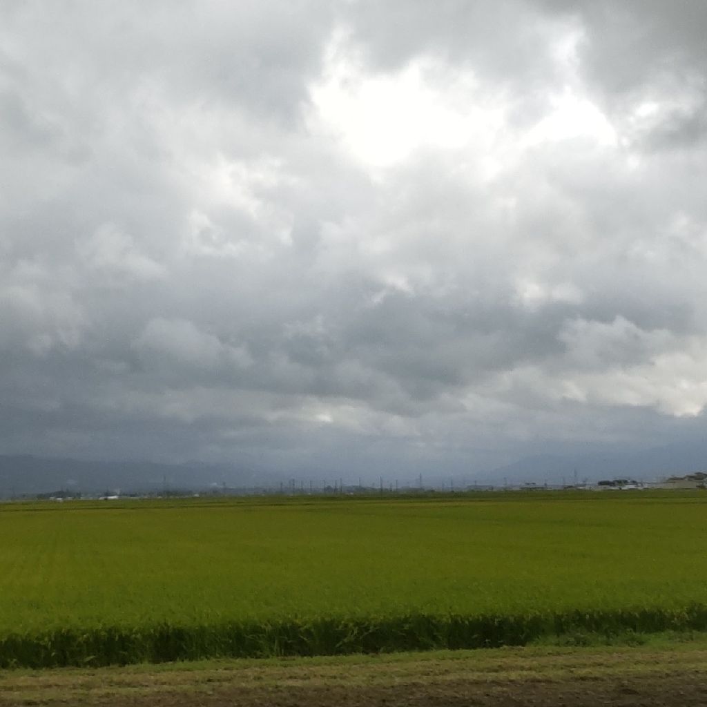 #11 一次選考に受かった後の心構え    (二次まであと５日)