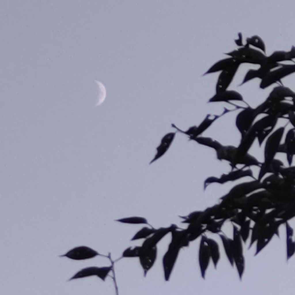 #23 名曲「つきとさなぎ」に思うこと😌