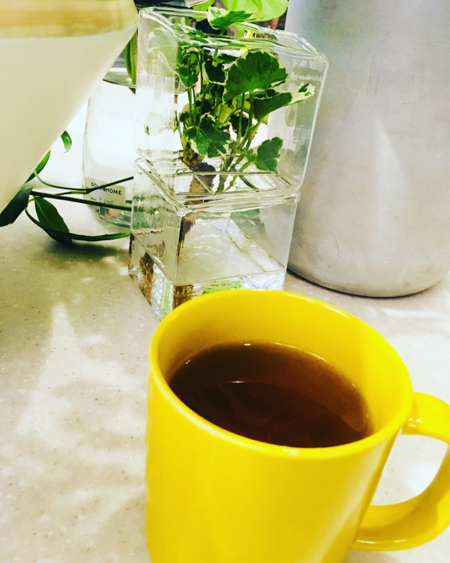 ⑺就活について？