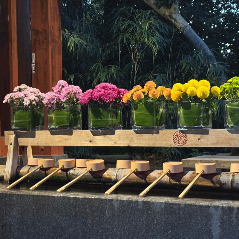 久しぶりのお散歩配信