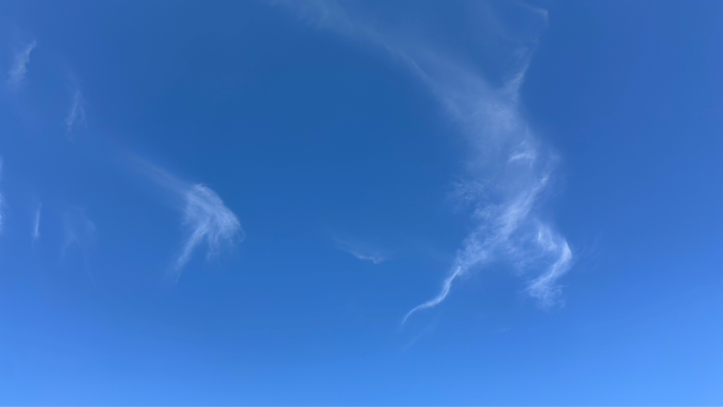 今日から働きます