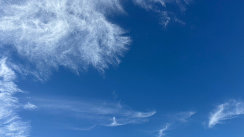 ひとりごとかな