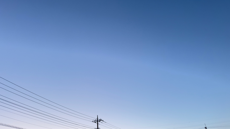 お散歩しています