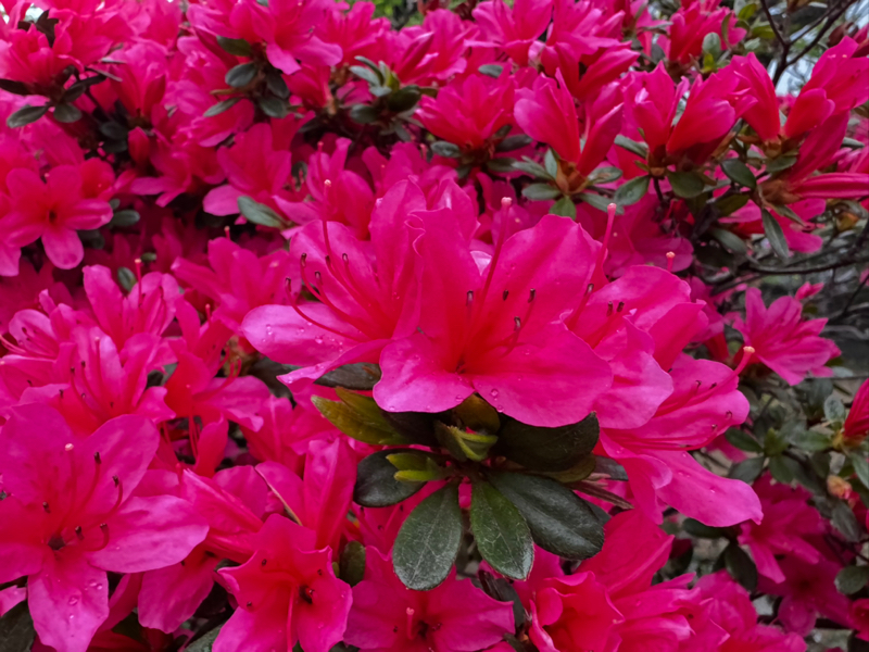 chatGPTと何をしゃべってるんですか