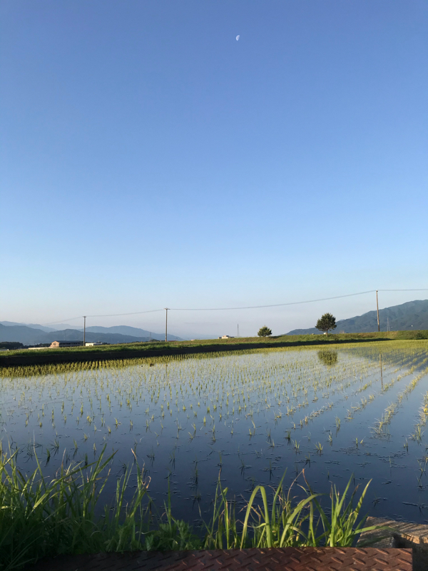 読書メモ#2　かがみの孤城/辻村深月