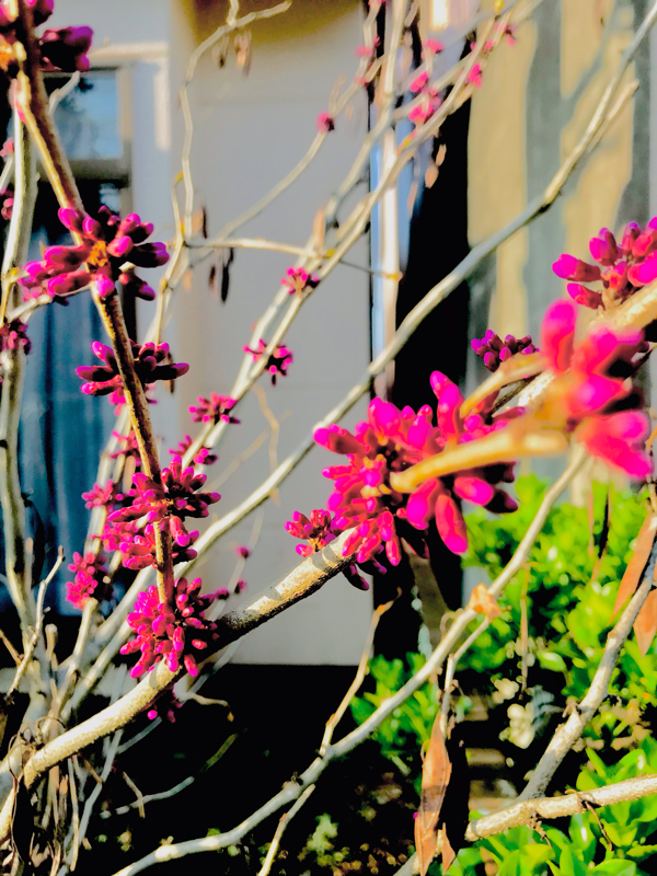 読書メモ#206 ビジョナリーカンパニーZERO/ジム・コリン　ビル・ラジアー②