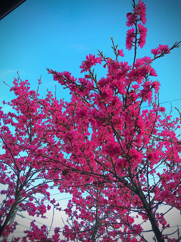 読書メモ#211 ビジョナリーカンパニーZERO/ジム・コリン　ビル・ラジアー⑦