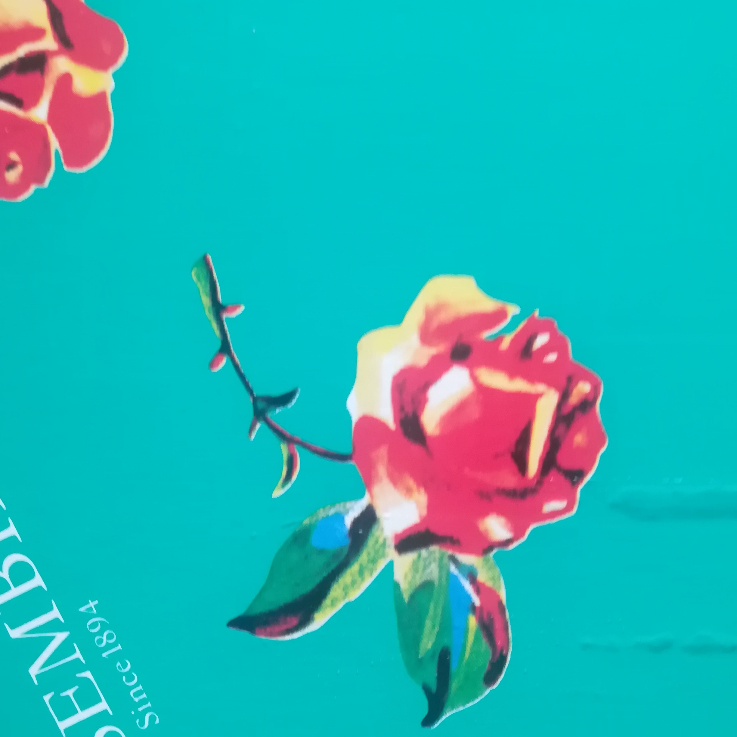 #1｢カメラを止めるな｣