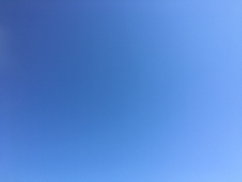 涼のぐだぐだトーク