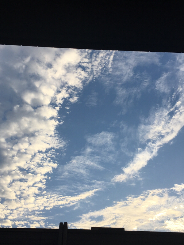 テストトーーク