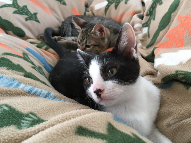 #300 要らない、何も、捨ててしまおう！