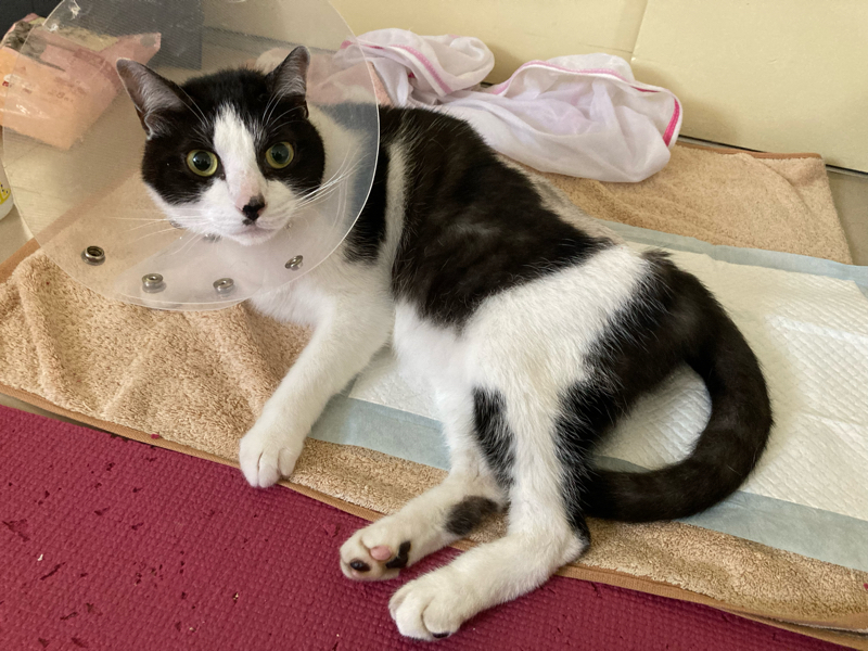 支援と介護とデトックス from Radiotalk episode artwork