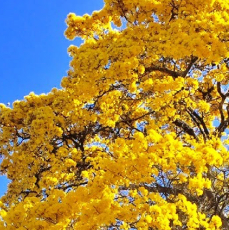 通院 #31 - 特に主治医からのアドバイスや温かい言葉もなく…