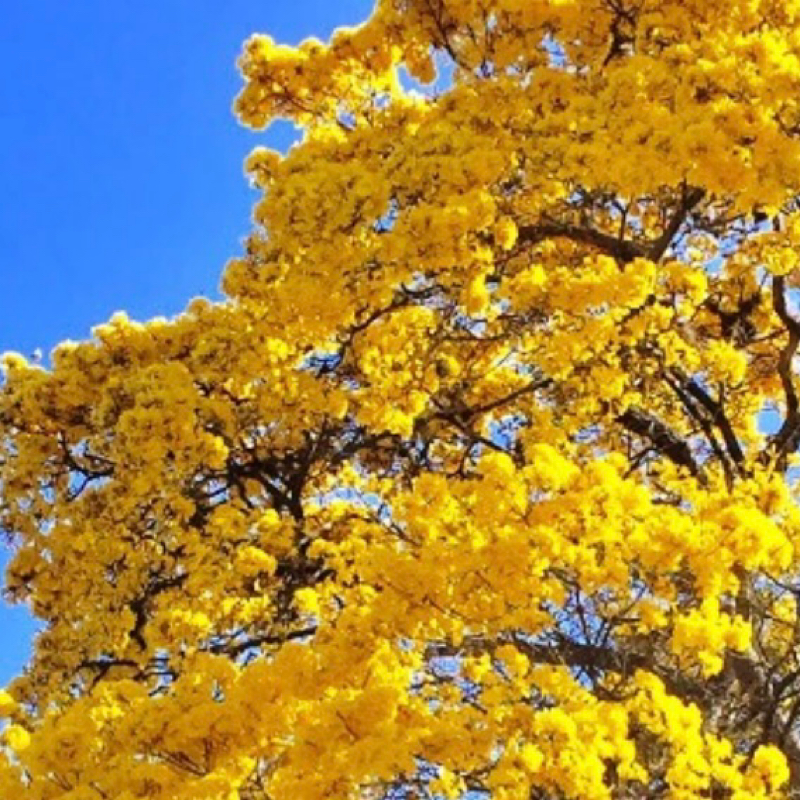 お返しトーク！と雑談(いつも雑談だけど)