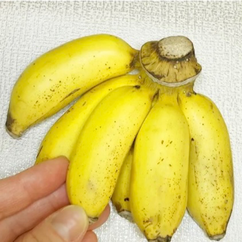 島バナナが美味しい！