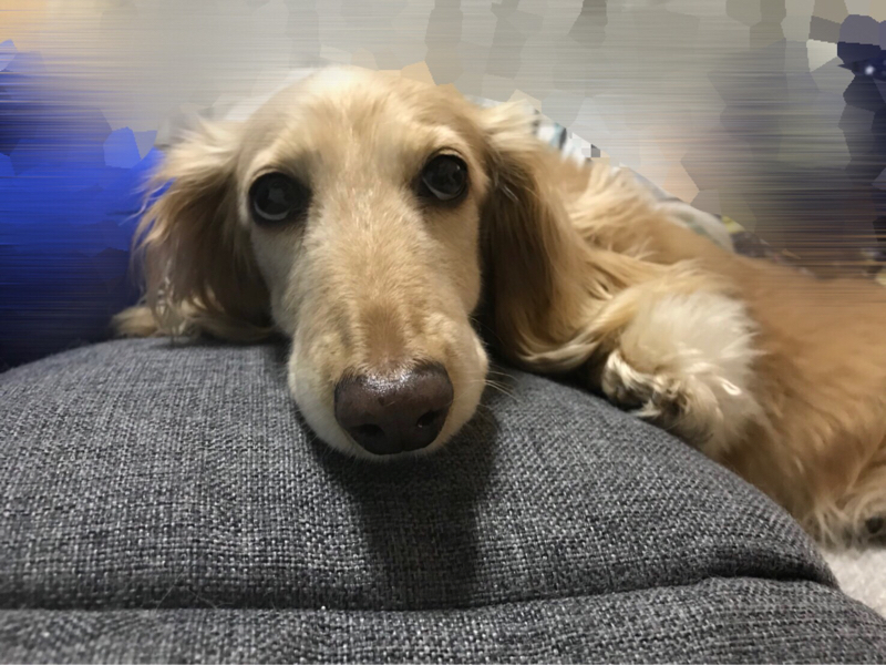 第1回 自己紹介とアルバイトの話