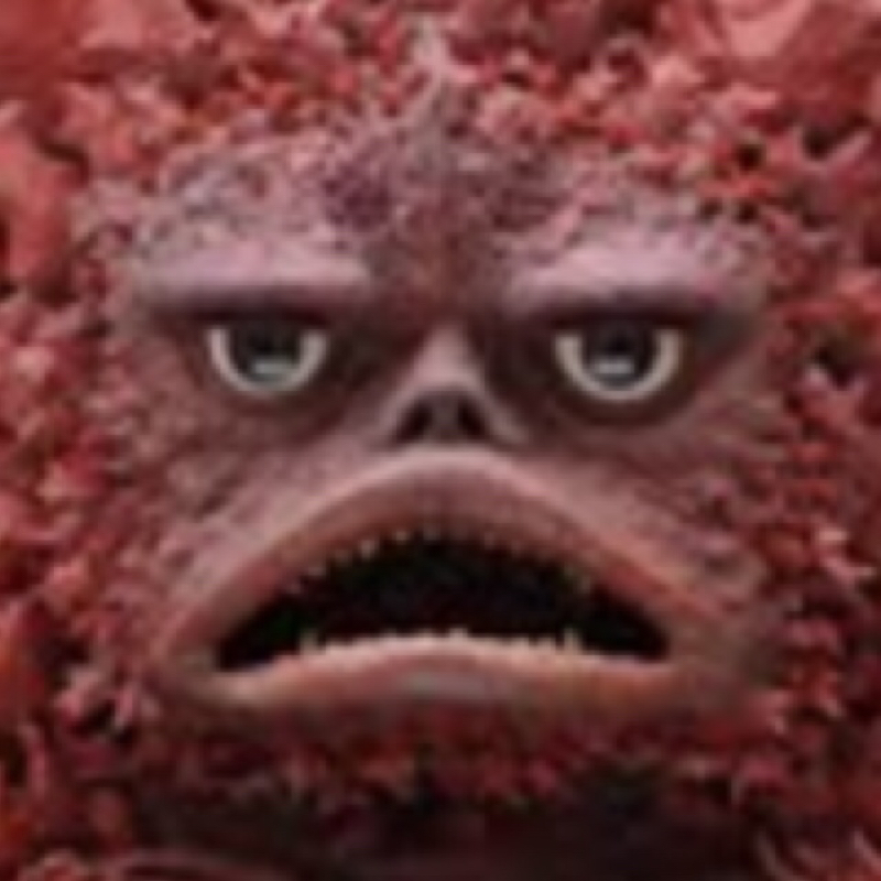 ２０１８年振り返り③