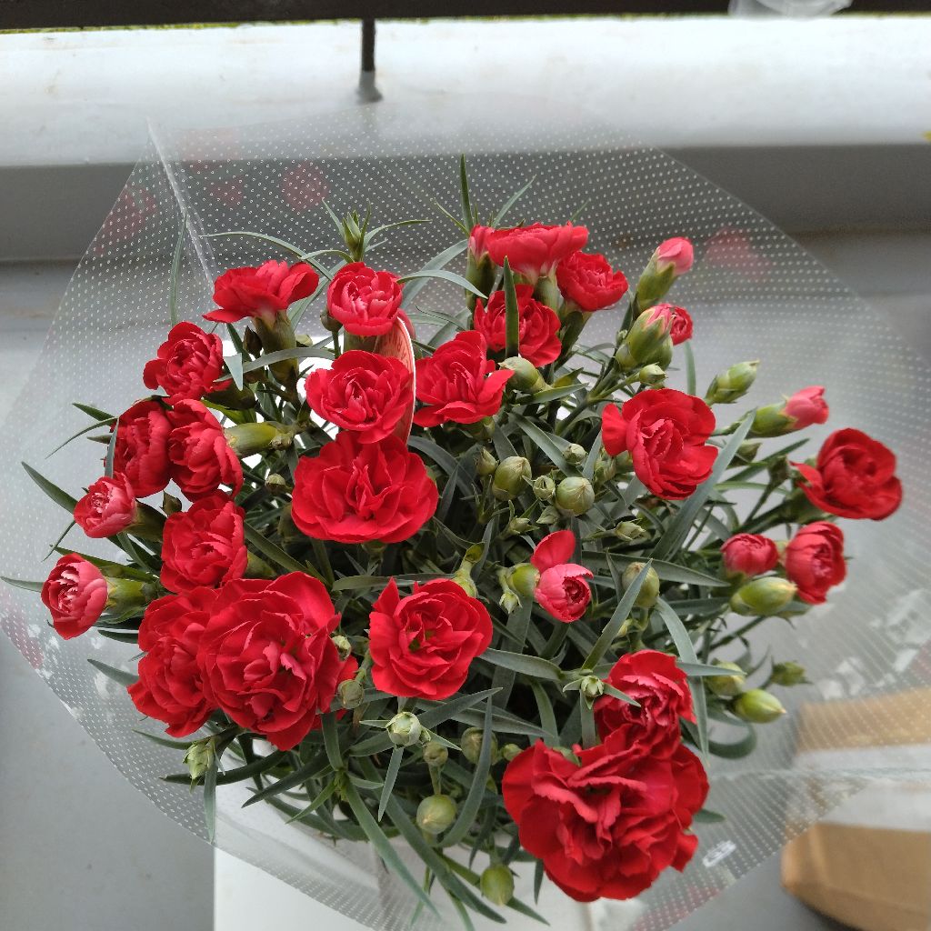 東京１年経って