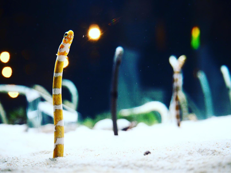 #35 大雨と愚痴の日々