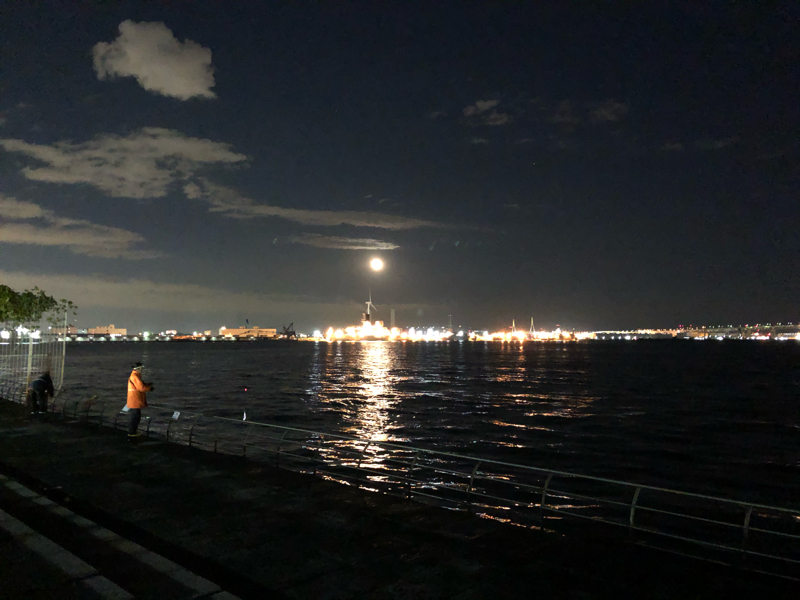 大企業の社員のイキカタ