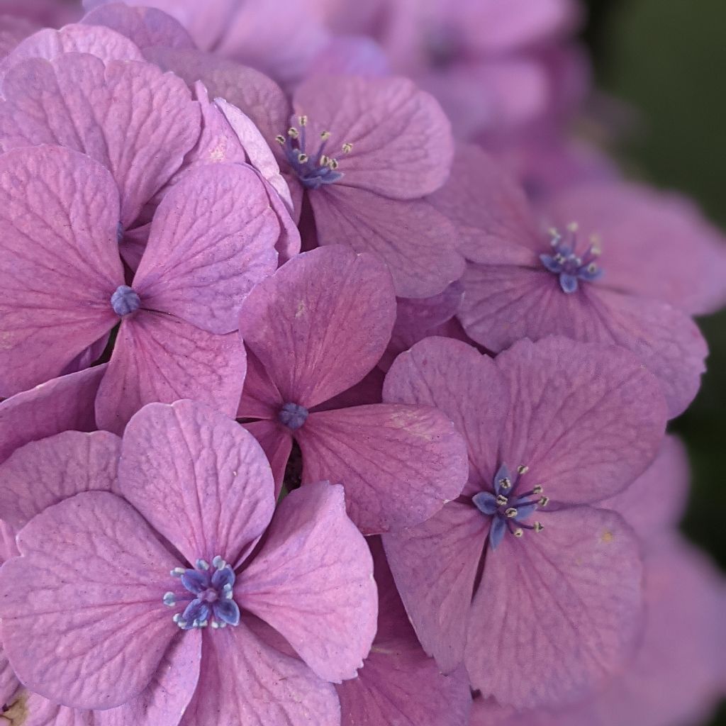 #2 【歌】おもちゃのチャチャチャ