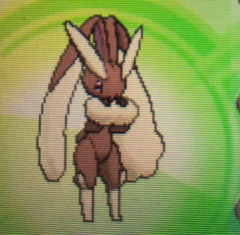 酔っ払いがポケモンしてる#01