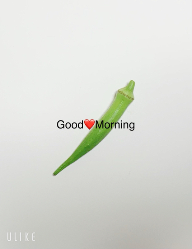 10/20おはようございます😆😆😆#gm50