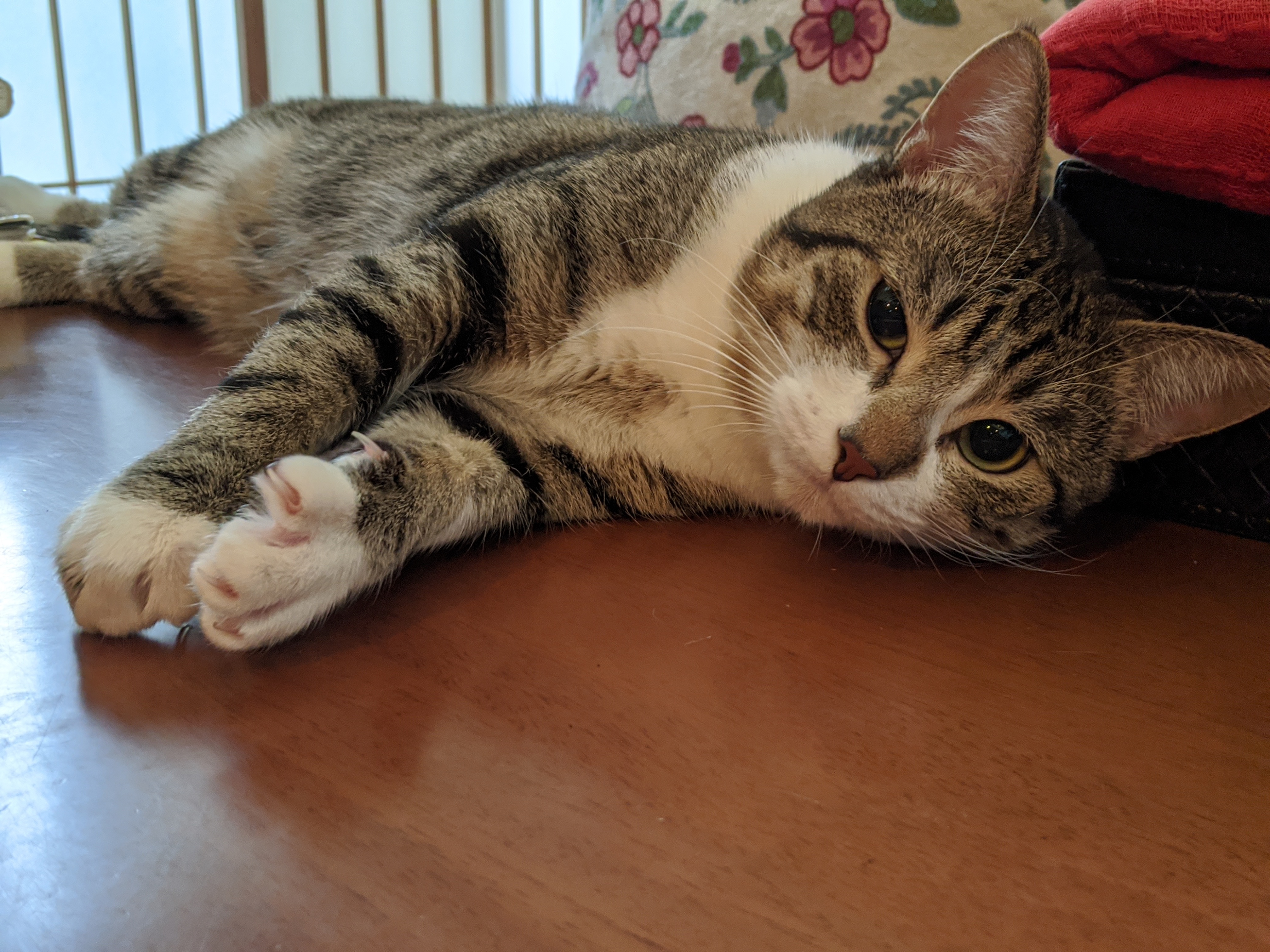 MAXが語る情報商材の闇