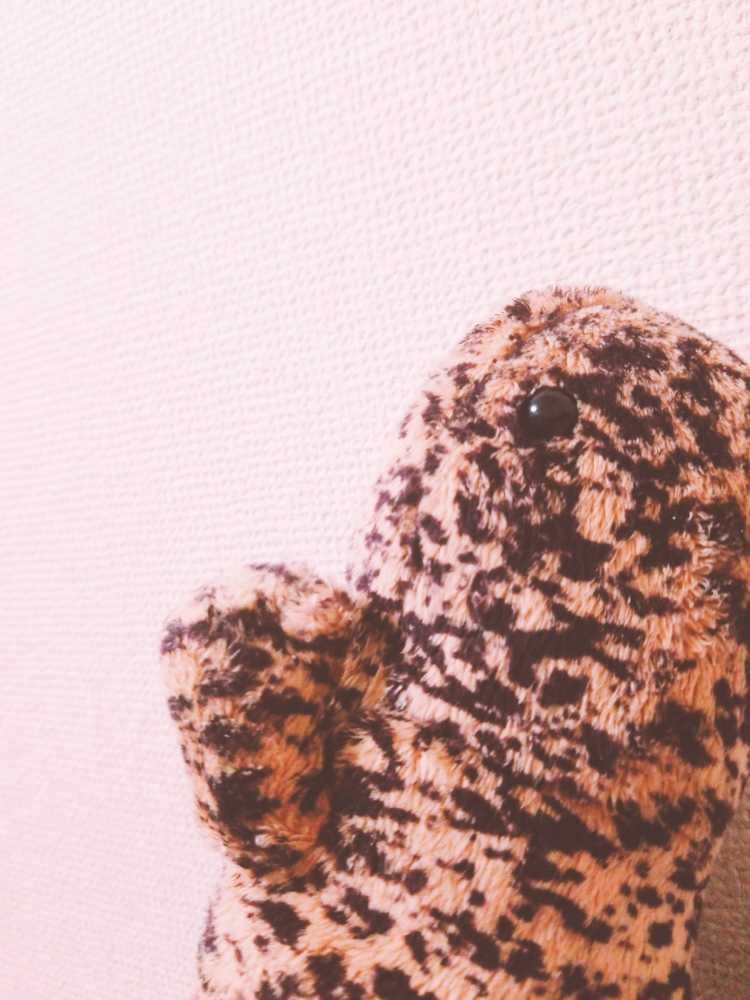 寝る前のひとりごと