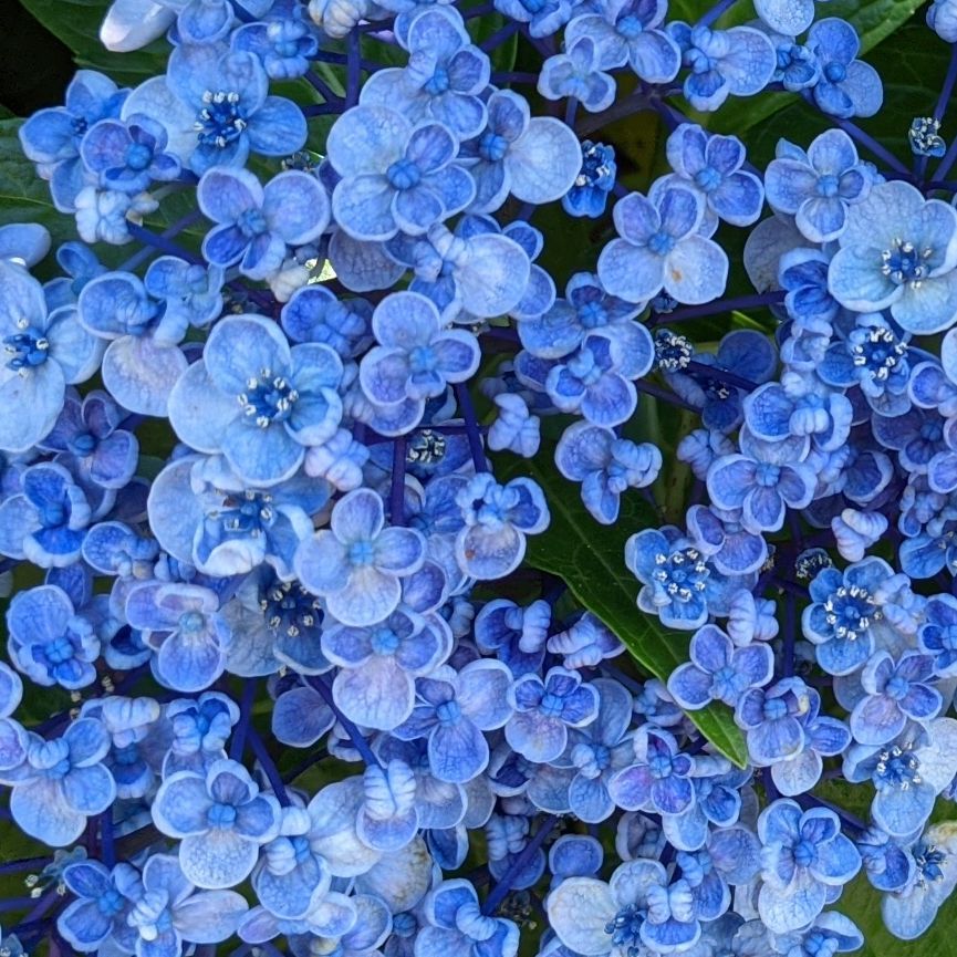 #2 2020〜2021年上半期双子座ふり返り①