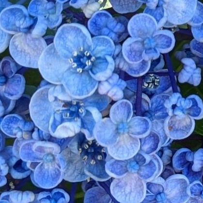 #11 胃腸炎3日目の日記