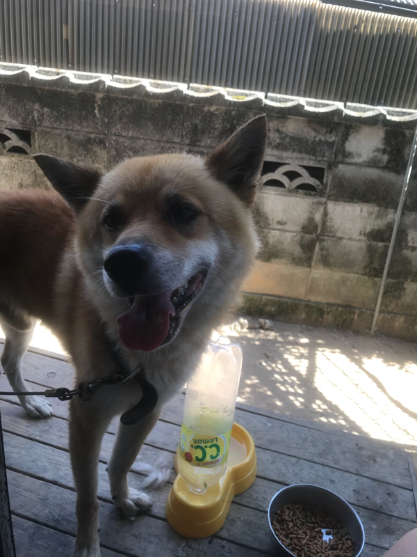 交際相手がゴミだという話