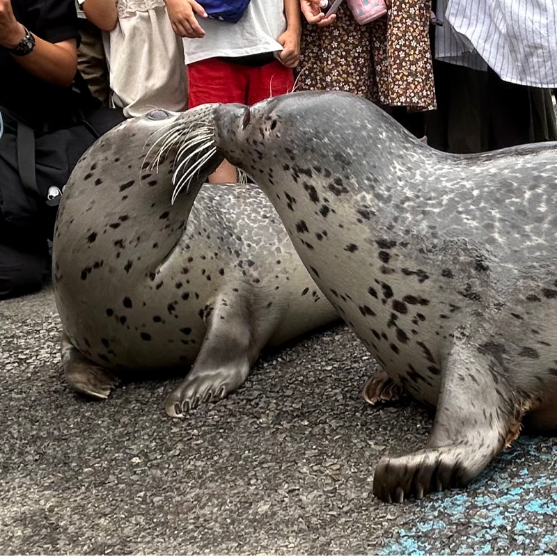 東武動物公園行ってきた【姉妹で】