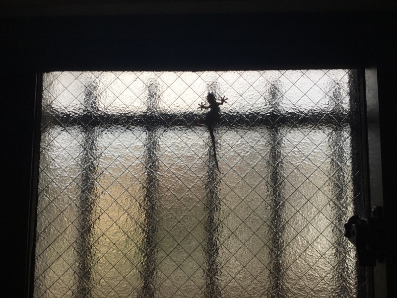 #25 阿蘇山噴火とか環境問題とかグレタさんとか