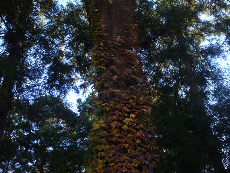 #72 【問】【続】出来ることと出来ないこと