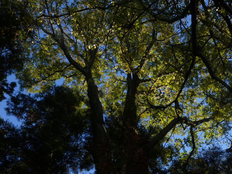 #139 金融機関を出たその後